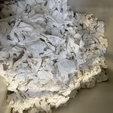 Toilettenrollen | verdichtet