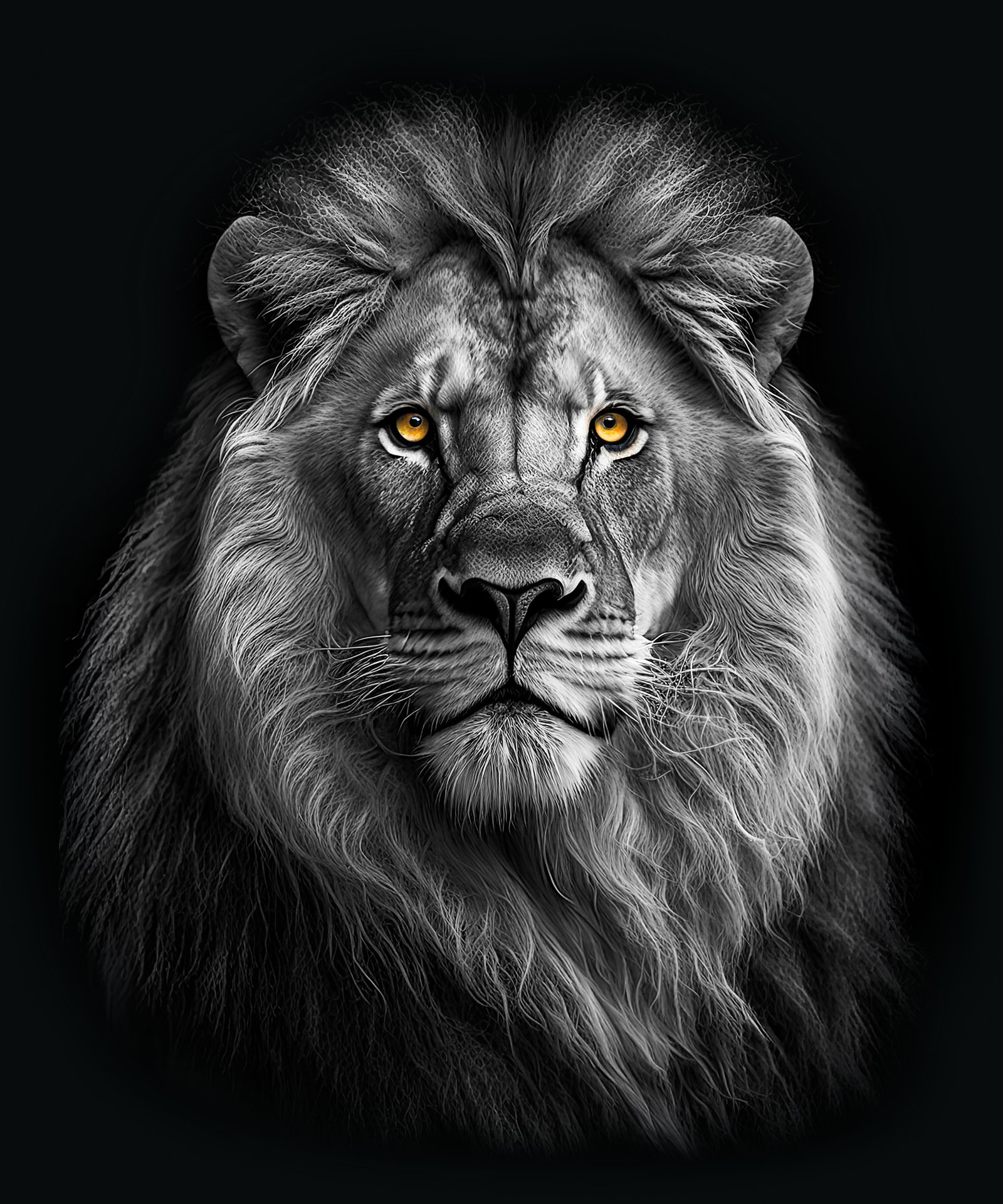 THE LION