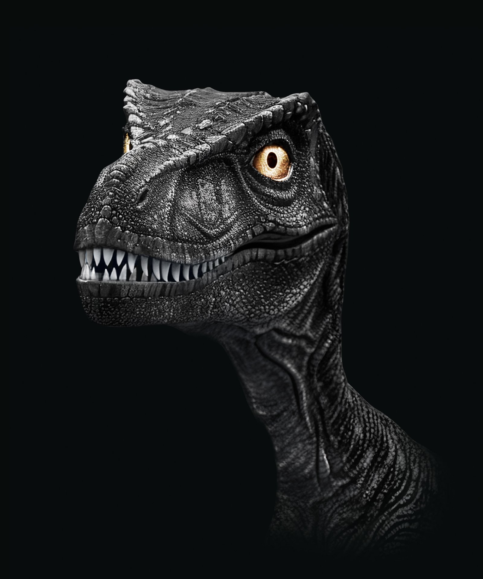 THE RAPTOR